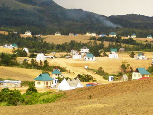 Hoa nở ngoài rừng