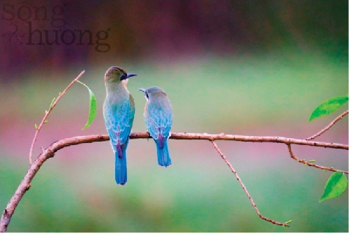 Những khoảnh khắc đẹp 09SDB-23