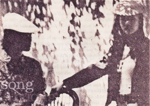 Trịnh Công Sơn - Hồng Nhung: xanh và chín