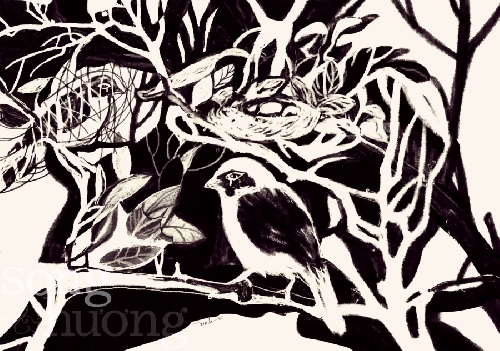 Khu vườn lẻ bạn