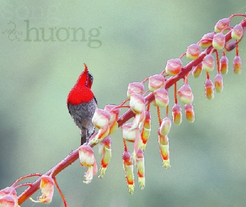 Những khoảnh khắc đẹp 06SDB-25_07-25